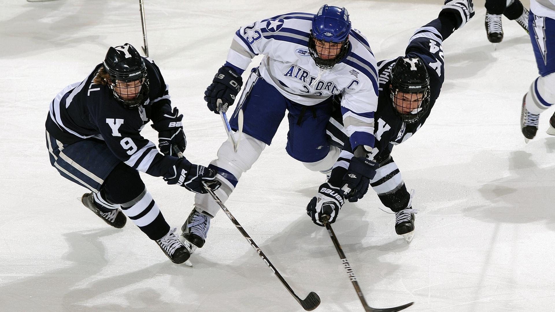 世界青少年武术运动会中国队夺得多项荣誉，青少年武术冠军