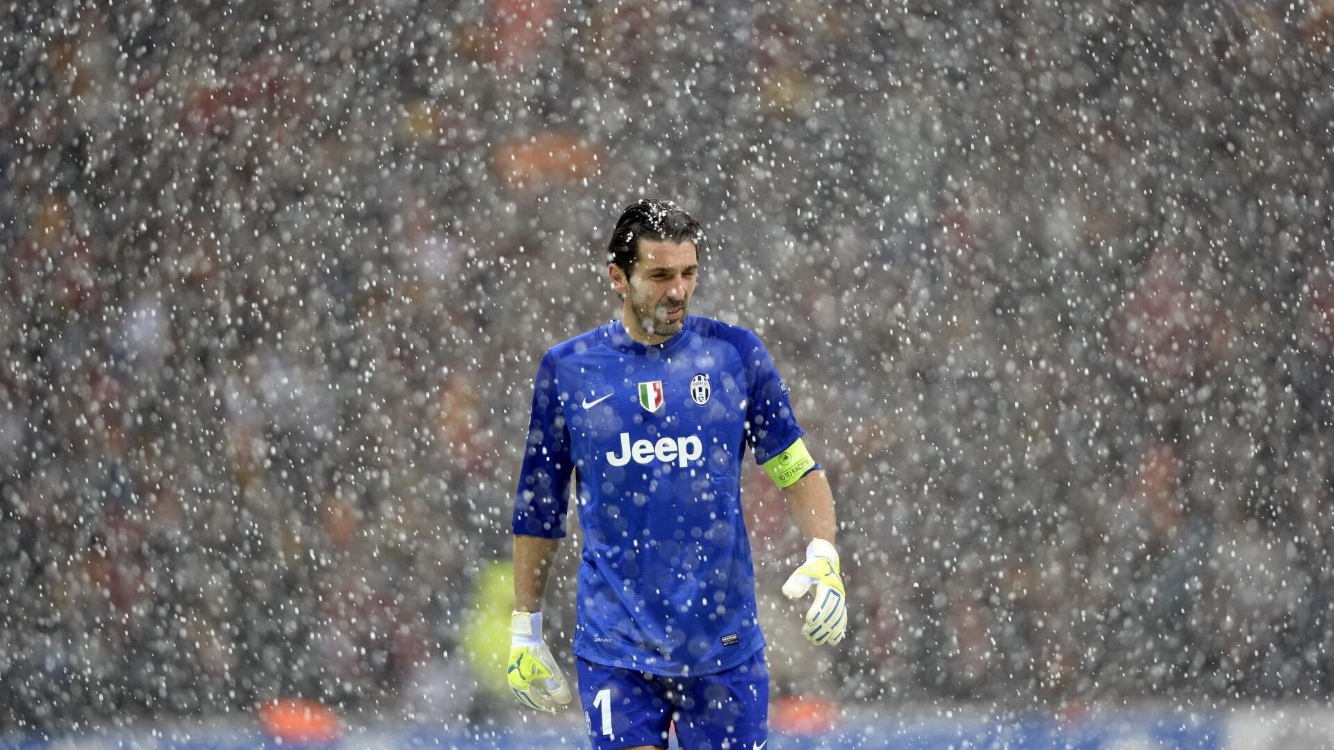 自由泳双姝配合默契摘金,双人自由泳